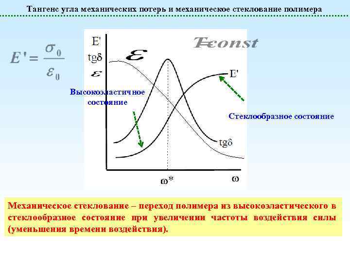 Тангенс угла механических потерь и механическое стеклование полимера Высокоэластичное состояние Стеклообразное состояние Механическое стеклование