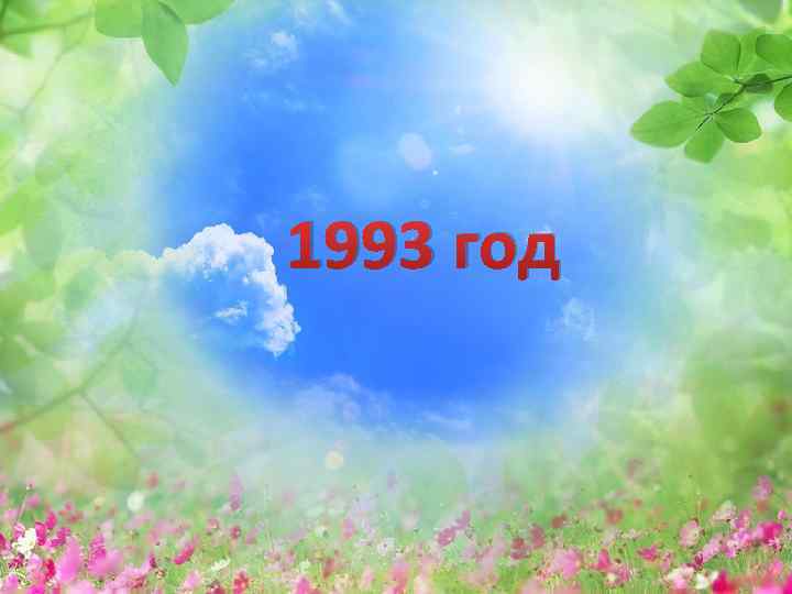 1993 год 