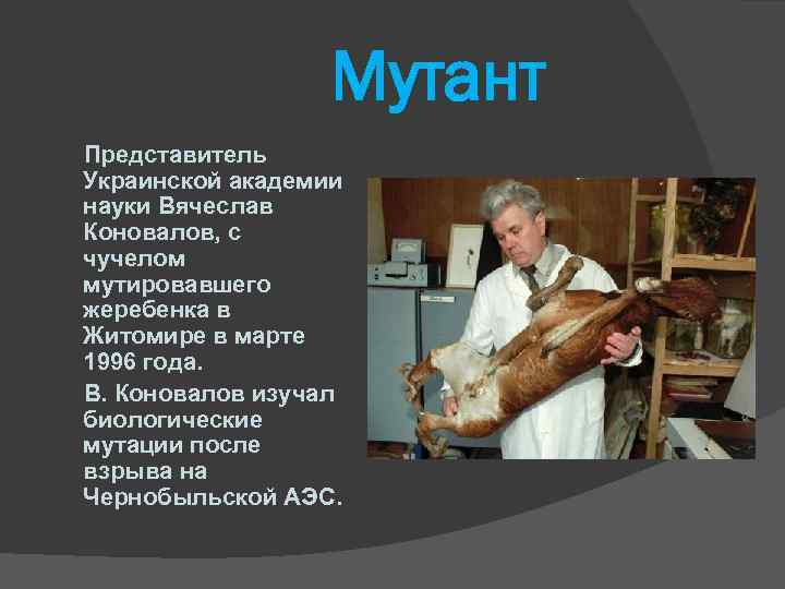 Мутант Представитель Украинской академии науки Вячеслав Коновалов, с чучелом мутировавшего жеребенка в Житомире в