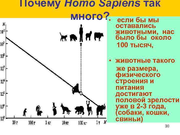 Почему Homo Sapiens так много? • если бы мы оставались животными, нас было бы