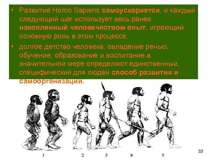  • Развитие Homo Sapiens самоускоряется, и каждый следующий шаг использует весь ранее накопленный