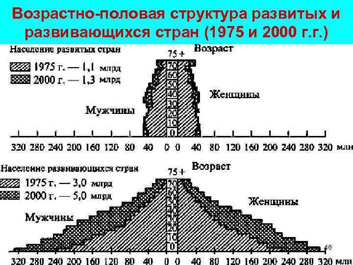 Возрастно-половая структура развитых и развивающихся стран (1975 и 2000 г. г. ) 46 