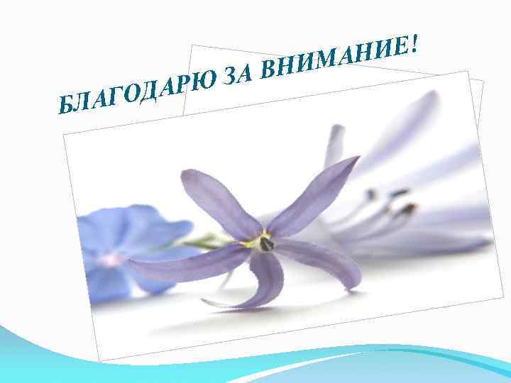 Б ДАРЮ ЛАГО НИЕ! ИМА А ВН З 