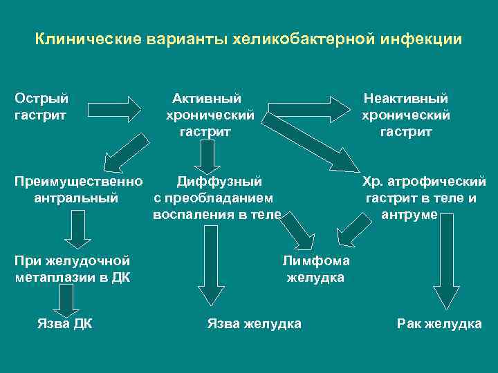 Клинические варианты хеликобактерной инфекции Острый гастрит Активный хронический гастрит Неактивный хронический гастрит Преимущественно Диффузный