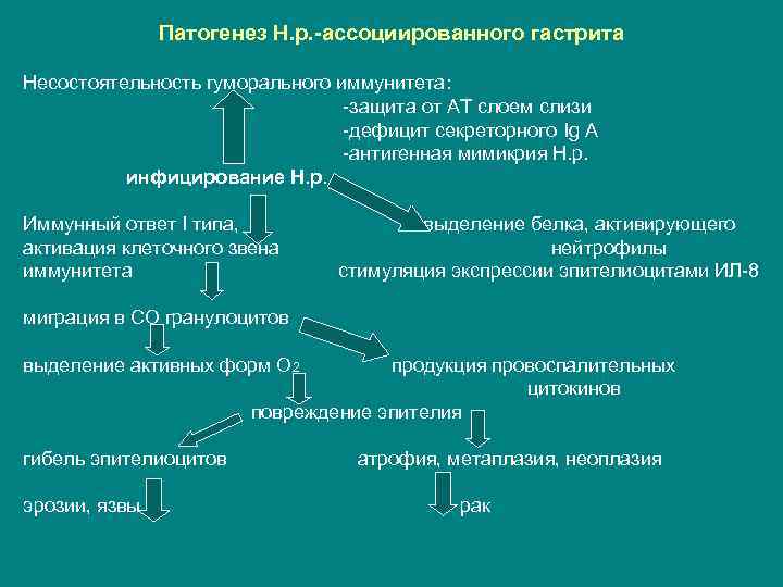 Патогенез Н. р. -ассоциированного гастрита Несостоятельность гуморального иммунитета: -защита от АТ слоем слизи -дефицит