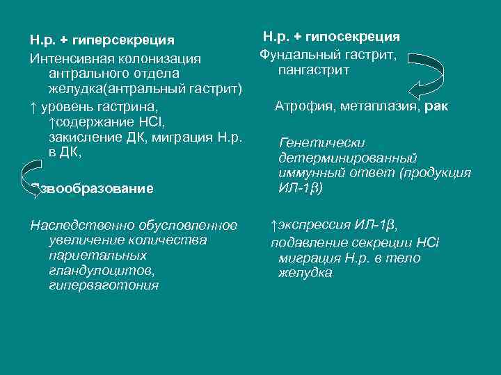 Н. р. + гипосекреция Н. р. + гиперсекреция Фундальный гастрит, Интенсивная колонизация пангастрит антрального