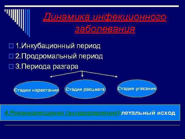 Динамика инфекционного заболевания o 1. Инкубационный период o 2. Продромальный период o 3. Периода