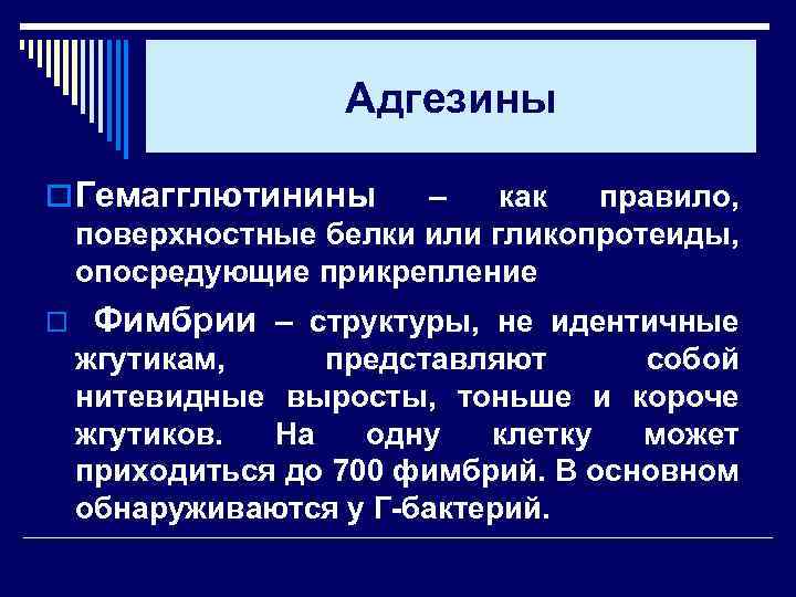 Адгезины o Гемагглютинины – как правило, поверхностные белки или гликопротеиды, опосредующие прикрепление o Фимбрии