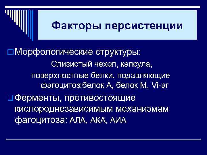 Факторы персистенции o Морфологические структуры: Слизистый чехол, капсула, поверхностные белки, подавляющие фагоцитоз: белок А,