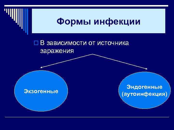 Формы инфекции o В зависимости от источника заражения Экзогенные Эндогенные (аутоинфекция) 