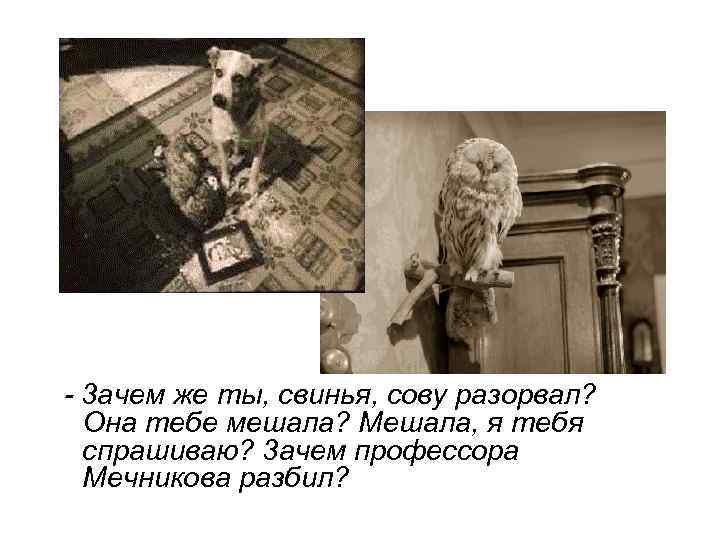 - 3 ачем же ты, свинья, сову разорвал? Она тебе мешала? Мешала, я тебя