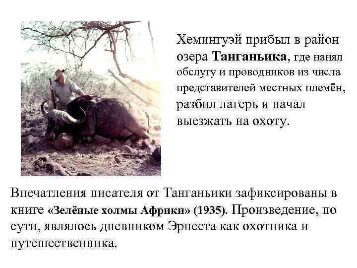 Хемингуэй прибыл в район озера Танганьика, где нанял обслугу и проводников из числа представителей