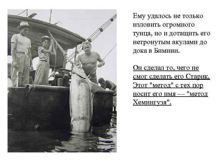 Ему удалось не только изловить огромного тунца, но и дотащить его нетронутым акулами до