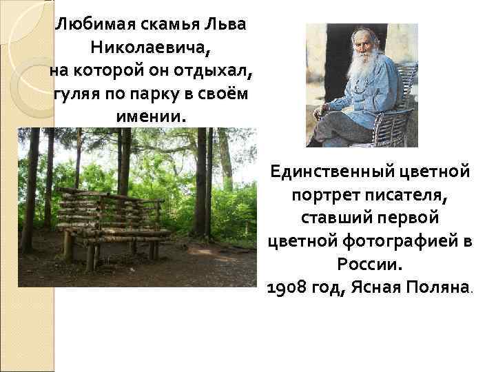 Любимая скамья Льва Николаевича, на которой он отдыхал, гуляя по парку в своём имении.