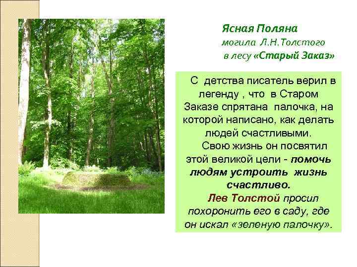 Ясная Поляна могила Л. Н. Толстого в лесу «Старый Заказ» С детства писатель верил