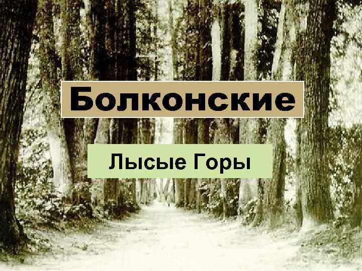 Болконские Лысые Горы 