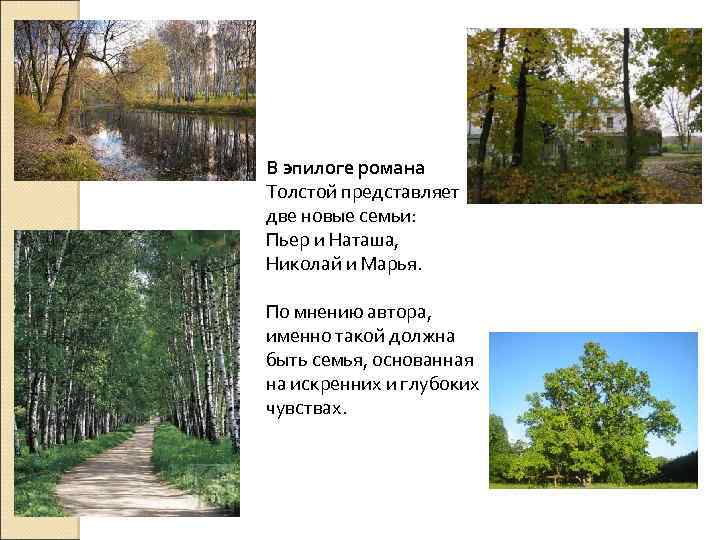 В эпилоге романа Толстой представляет две новые семьи: Пьер и Наташа, Николай и Марья.
