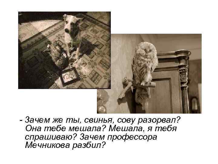 - 3 ачем же ты, свинья, сову разорвал? Она тебе мешала? Мешала, я тебя