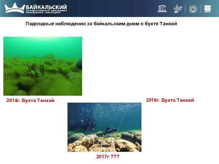 Подводные наблюдения за байкальским дном в бухте Танхой 2016 г. Бухта Танхой 2014 г.