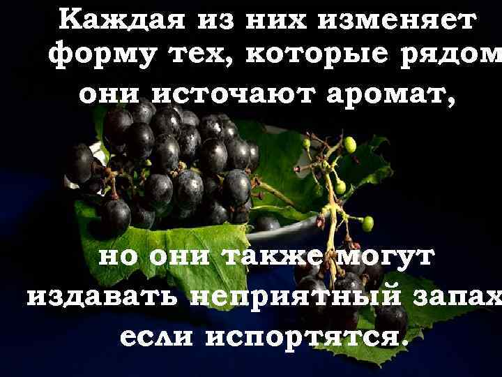 Каждая из них изменяет форму тех, которые рядом они источают аромат, но они также