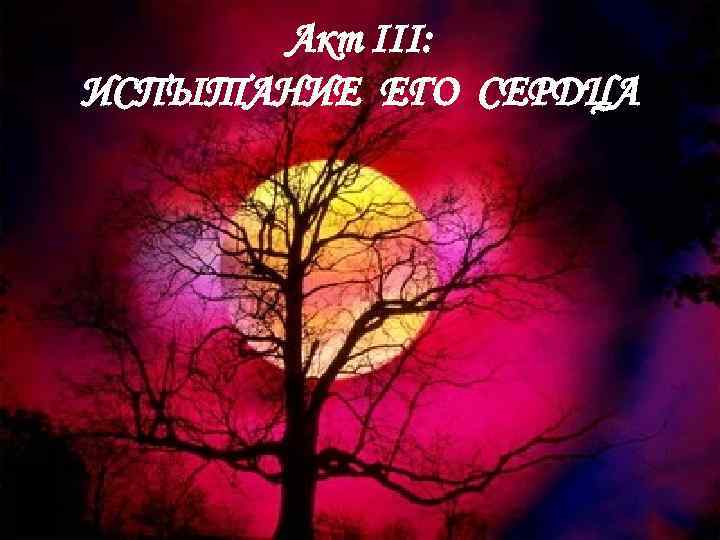 Акт III: ИСПЫТАНИЕ ЕГО СЕРДЦА 