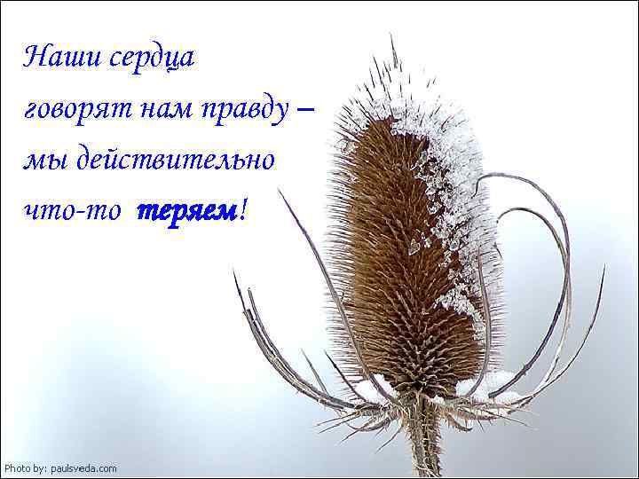 Наши сердца говорят нам правду – мы действительно что-то теряем! 