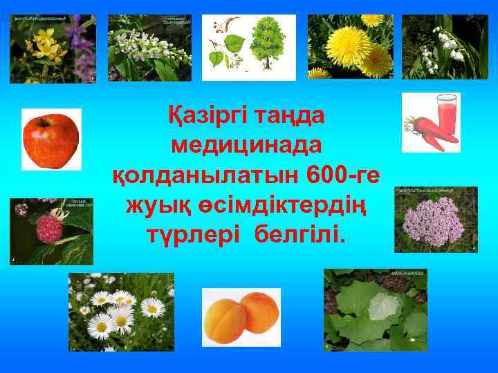 Қазіргі таңда медицинада қолданылатын 600 -ге жуық өсімдіктердің түрлері белгілі. 