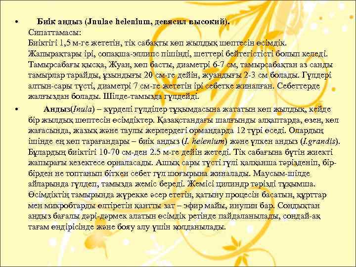  • • Биік андыз (Jnulae helenium, девясил высокий). Сипаттамасы: Биіктігі 1, 5 м-ге