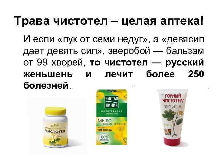 Трава чистотел – целая аптека! И если «лук от семи недуг» , а «девясил
