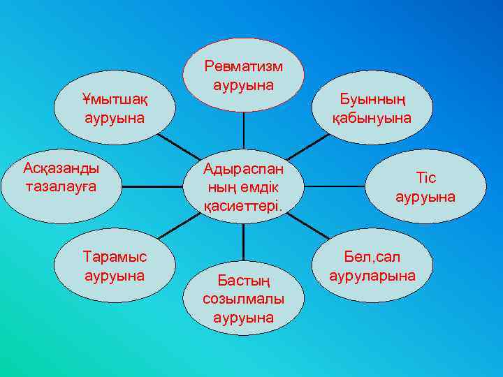 Ұмытшақ ауруына Асқазанды тазалауға Тарамыс ауруына Ревматизм ауруына Адыраспан ның емдік қасиеттері. Бастың созылмалы