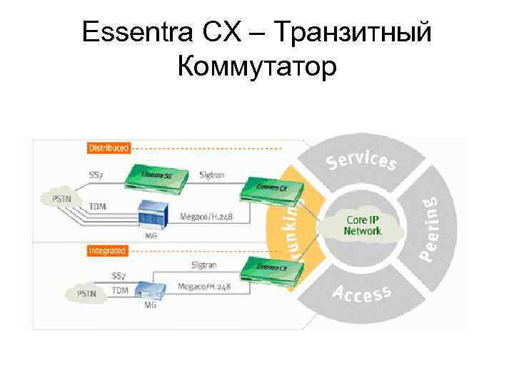 Essentra CX – Транзитный Коммутатор 