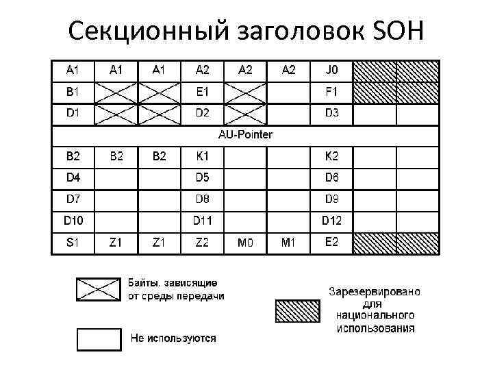 Секционный заголовок SOH 