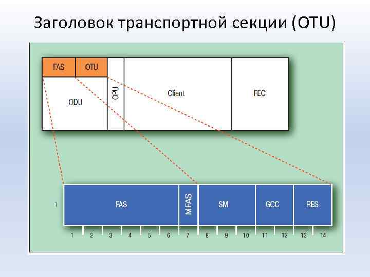 Заголовок транспортной секции (OTU) 