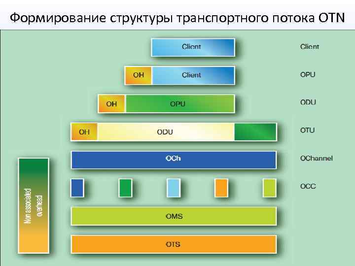 Формирование структуры транспортного потока OTN 