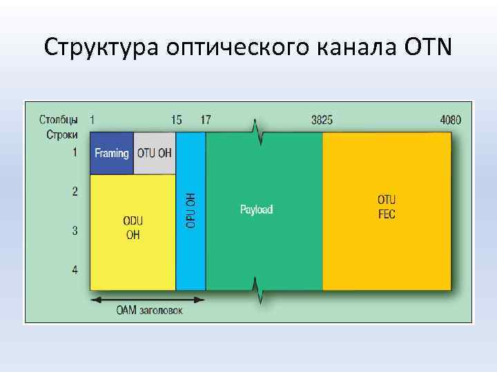 Структура оптического канала OTN 