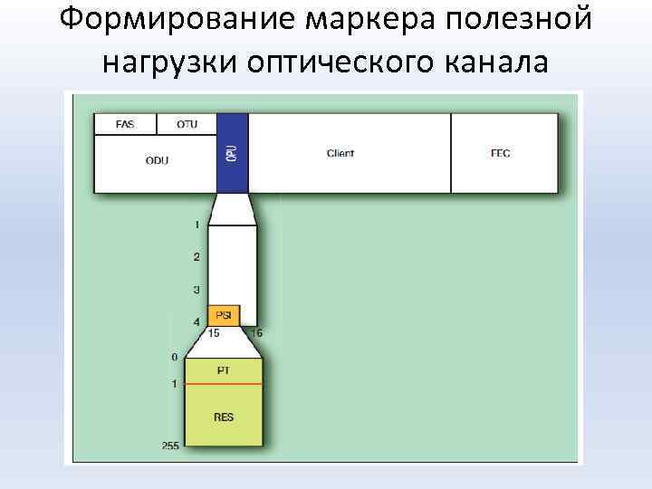 Формирование маркера полезной нагрузки оптического канала 