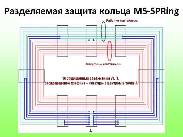 Разделяемая защита кольца MS-SPRing 