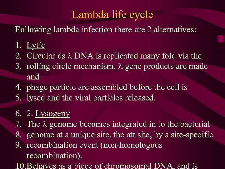 Lambda life cycle Following lambda infection there are 2 alternatives: 1. Lytic 2. Circular