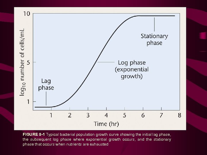 FIGURE 9 -1 Typical bacterial population growth curve showing the initial lag phase, the