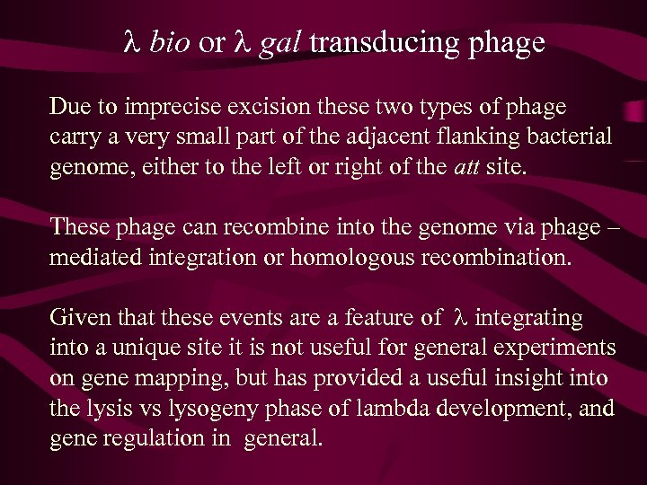 l bio or l gal transducing phage Due to imprecise excision these two types