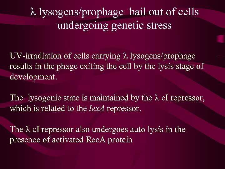 l lysogens/prophage bail out of cells undergoing genetic stress UV-irradiation of cells carrying l