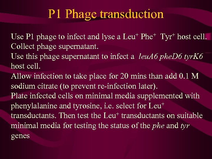 P 1 Phage transduction Use P 1 phage to infect and lyse a Leu+