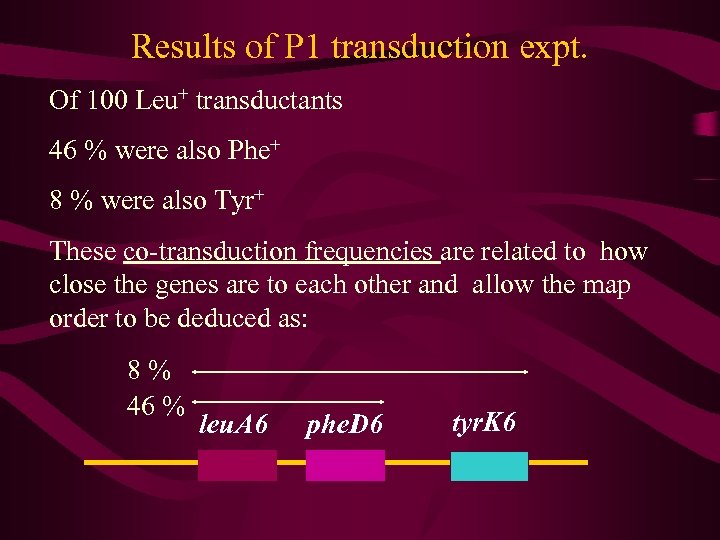 Results of P 1 transduction expt. Of 100 Leu+ transductants 46 % were also