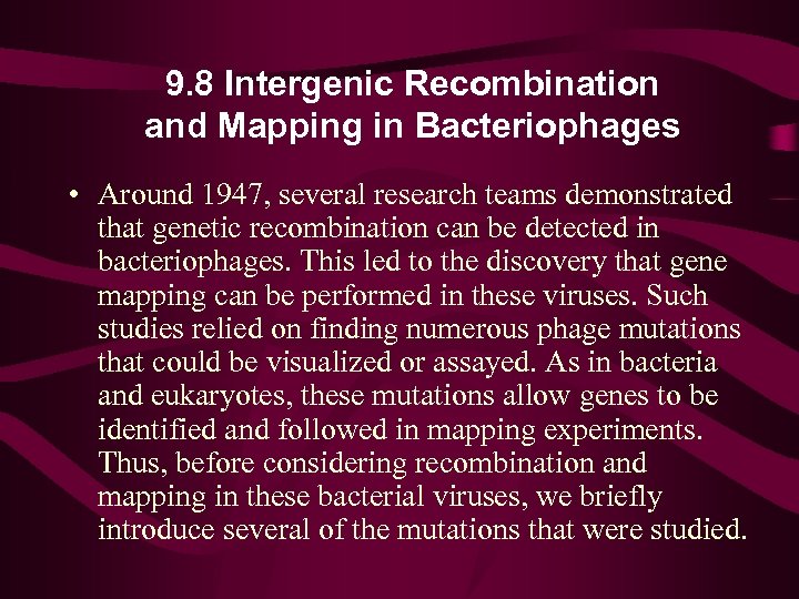9. 8 Intergenic Recombination and Mapping in Bacteriophages • Around 1947, several research teams