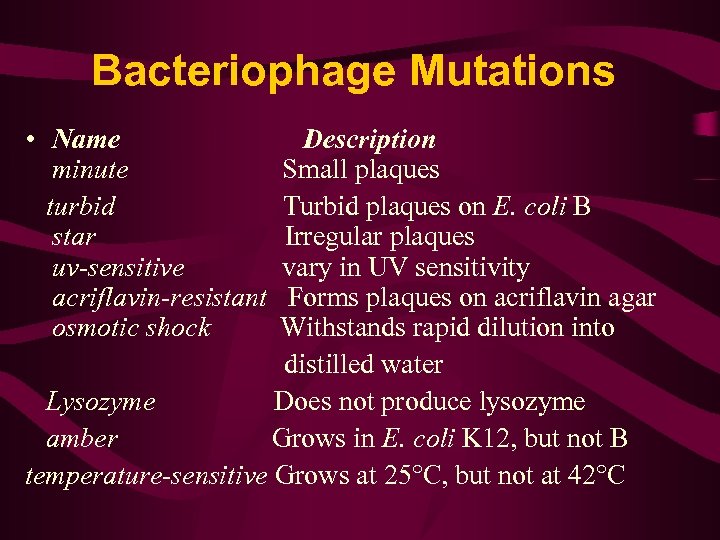 Bacteriophage Mutations • Name minute turbid star uv-sensitive acriflavin-resistant osmotic shock Description Small plaques