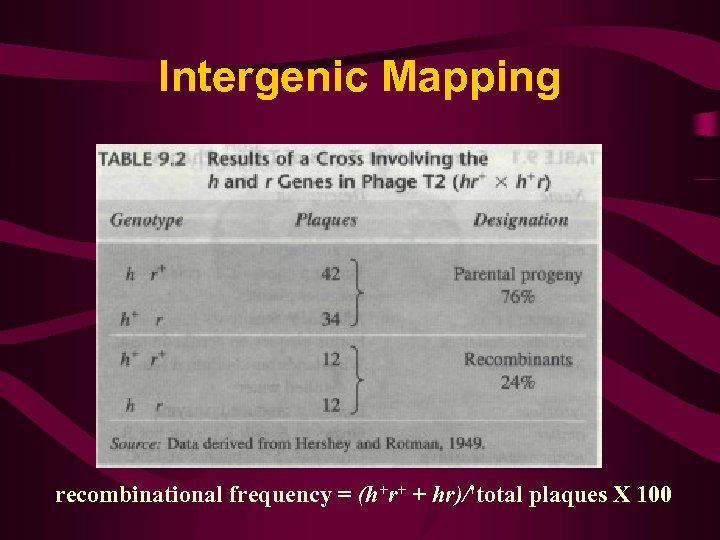 Intergenic Mapping recombinational frequency = (h+r+ + hr)/'total plaques X 100 