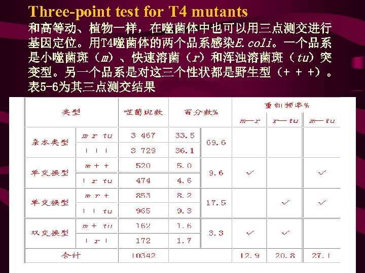 Three-point test for T 4 mutants 和高等动、植物一样，在噬菌体中也可以用三点测交进行 基因定位。用T 4噬菌体的两个品系感染E. coli。一个品系 是小噬菌斑（m）、快速溶菌（r）和浑浊溶菌斑（tu）突 变型。另一个品系是对这三个性状都是野生型（+ + +）。
