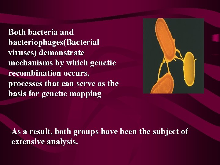 Both bacteria and bacteriophages(Bacterial viruses) demonstrate mechanisms by which genetic recombination occurs, processes that