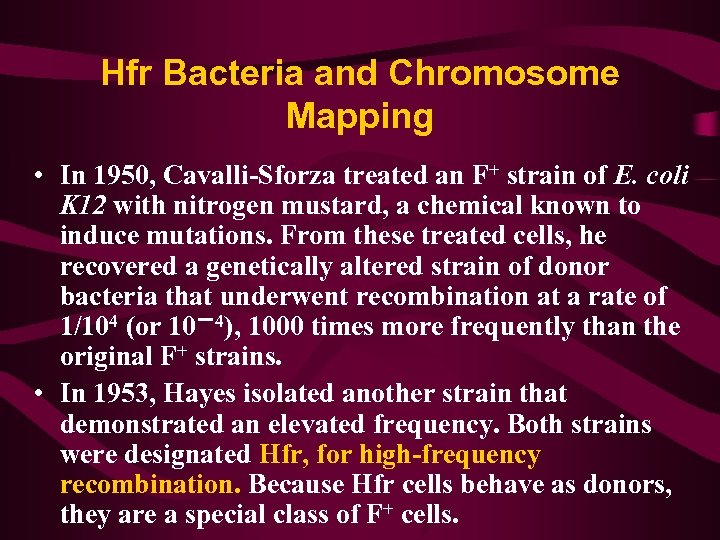 Hfr Bacteria and Chromosome Mapping • In 1950, Cavalli-Sforza treated an F+ strain of