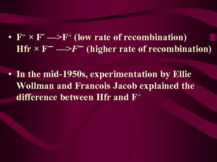  • F+ × F- —>F+ (low rate of recombination) Hfr × F－ —>F－